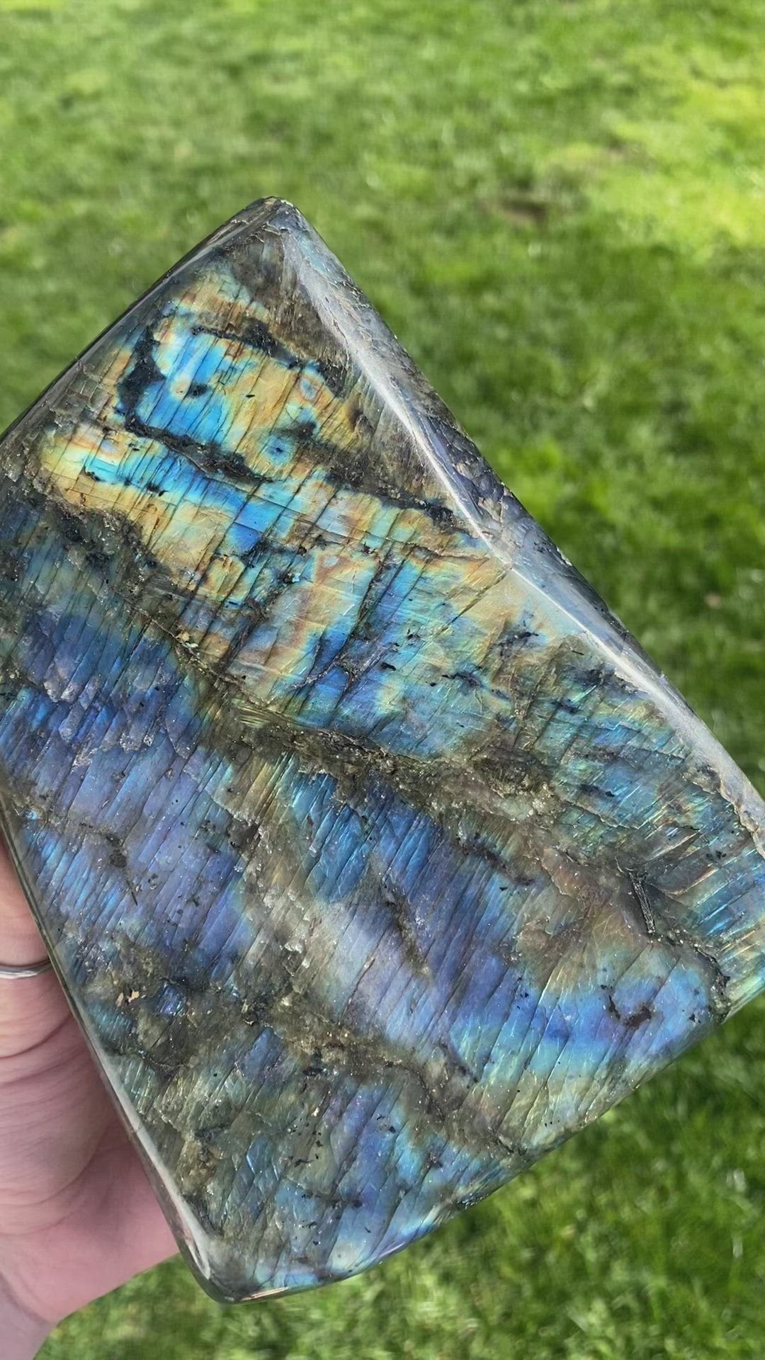 Labradorite Freeform (4.6 lbs) - HL