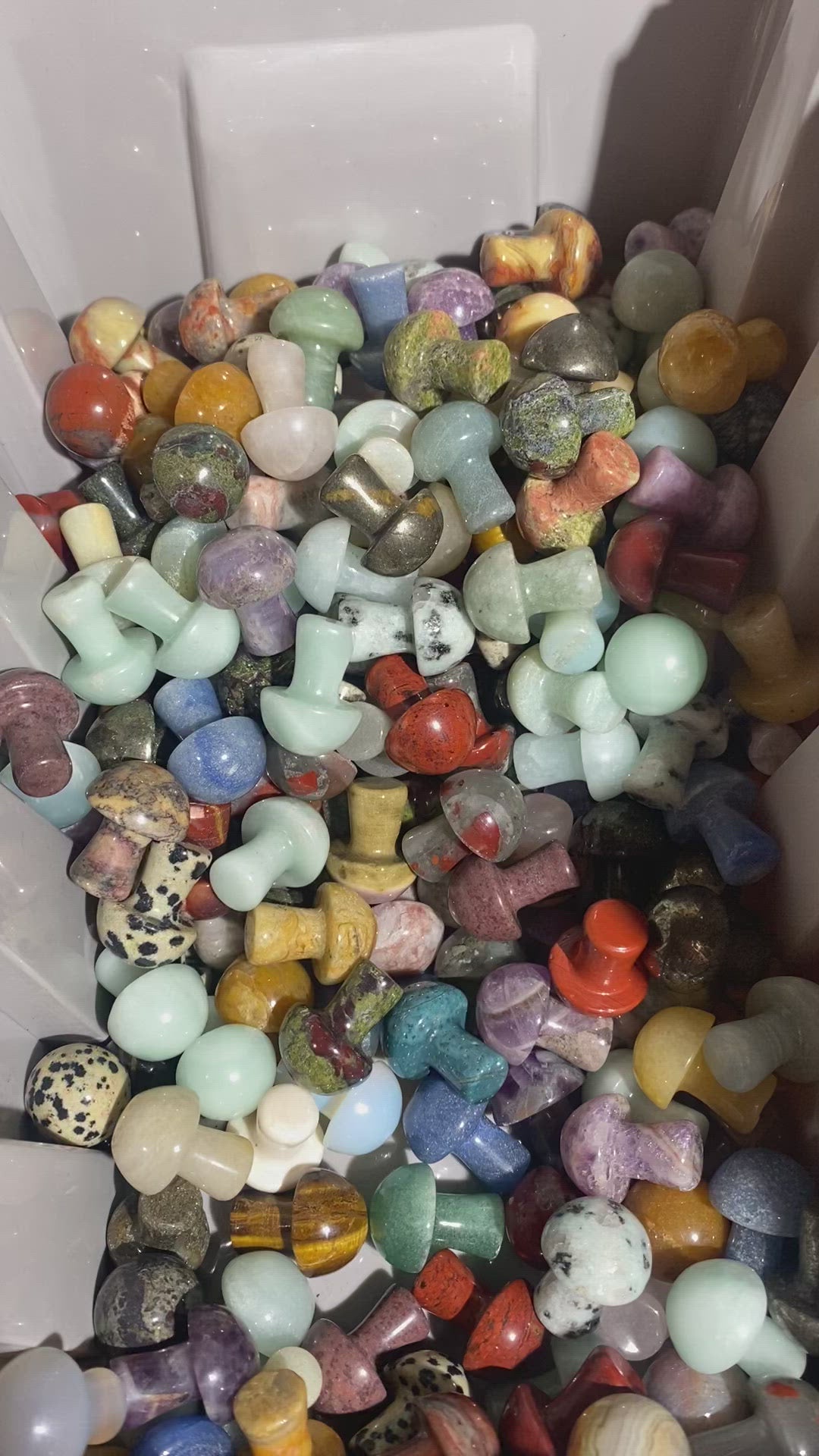 Intuitively Chosen Mini Mushroom (1 piece)