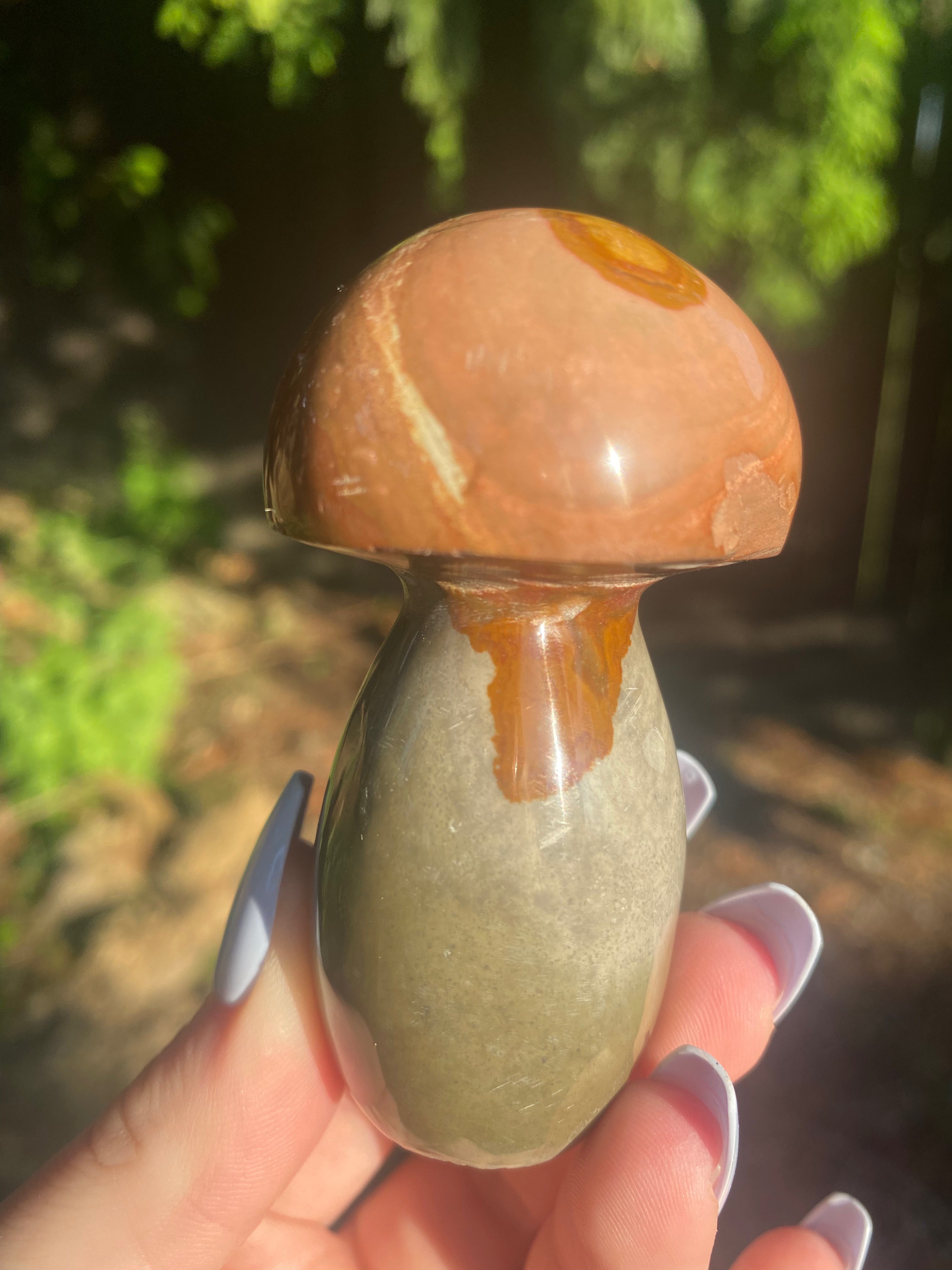Polychrome Jasper Mushroom - You Choose
