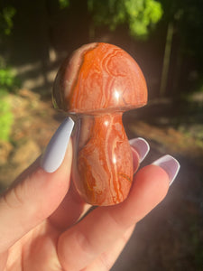 Polychrome Jasper Mushroom - You Choose