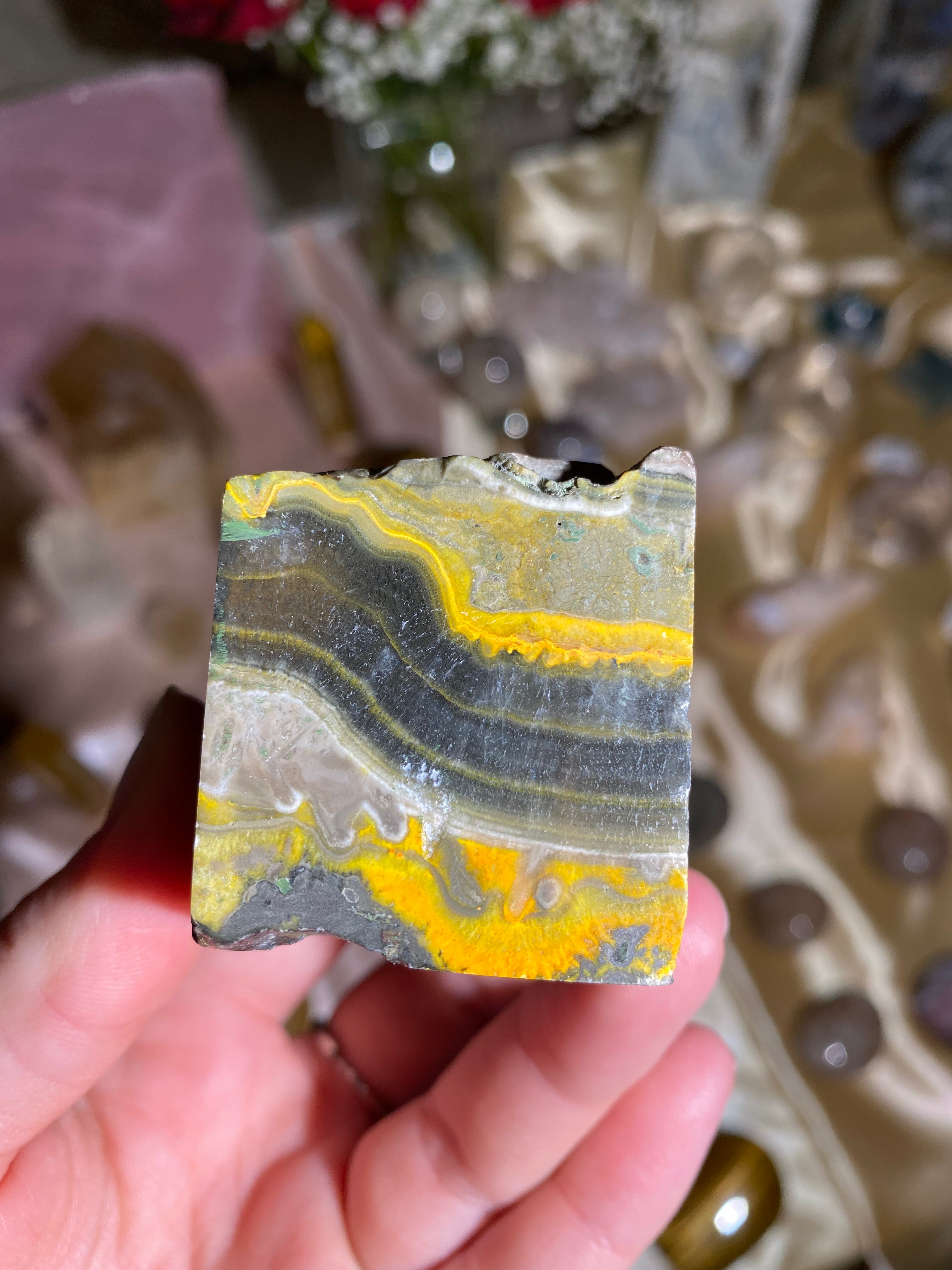Bumblebee Jasper Freeform BBF3