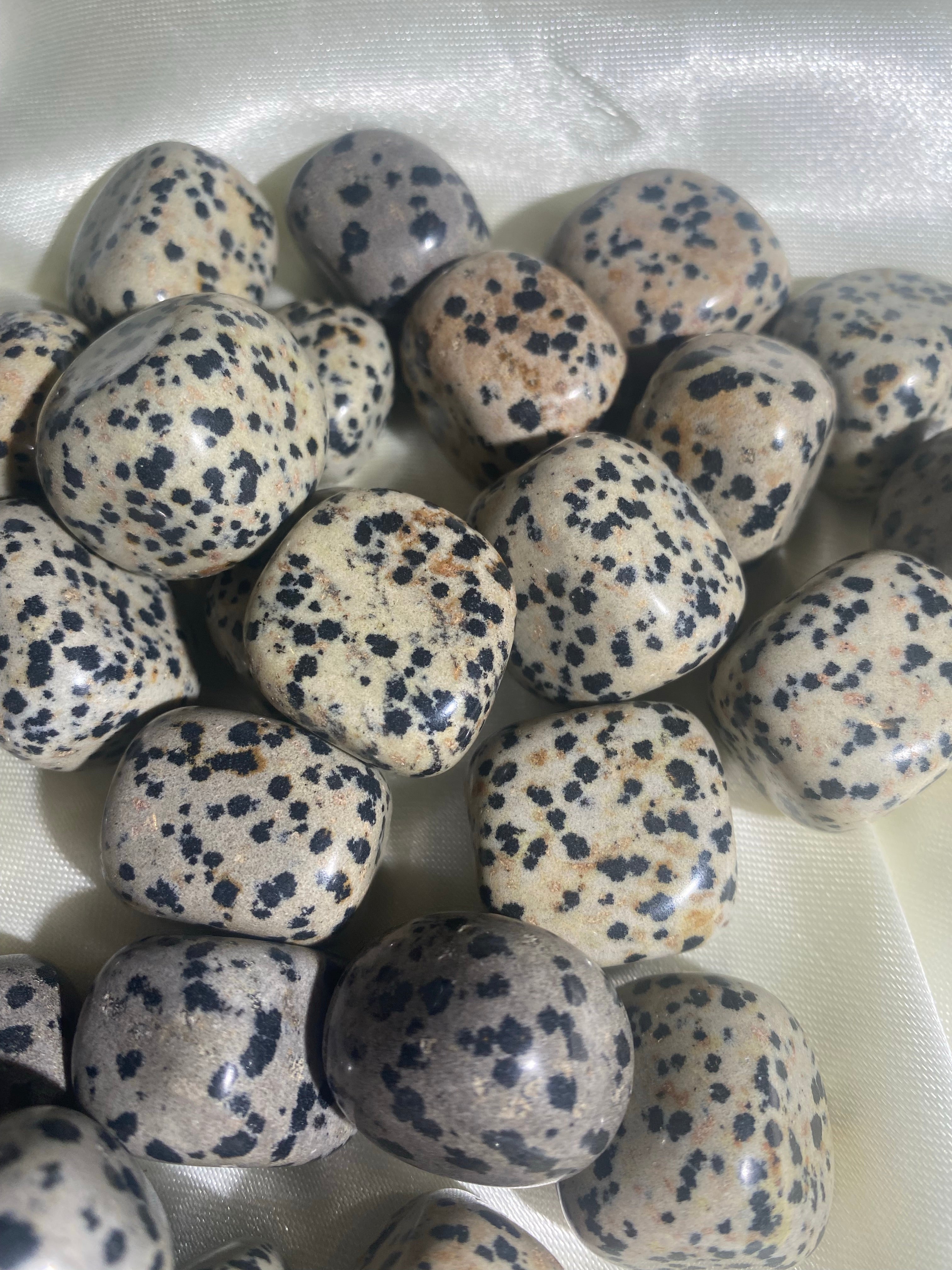 Dalmatian Jasper Tumble (1 piece)