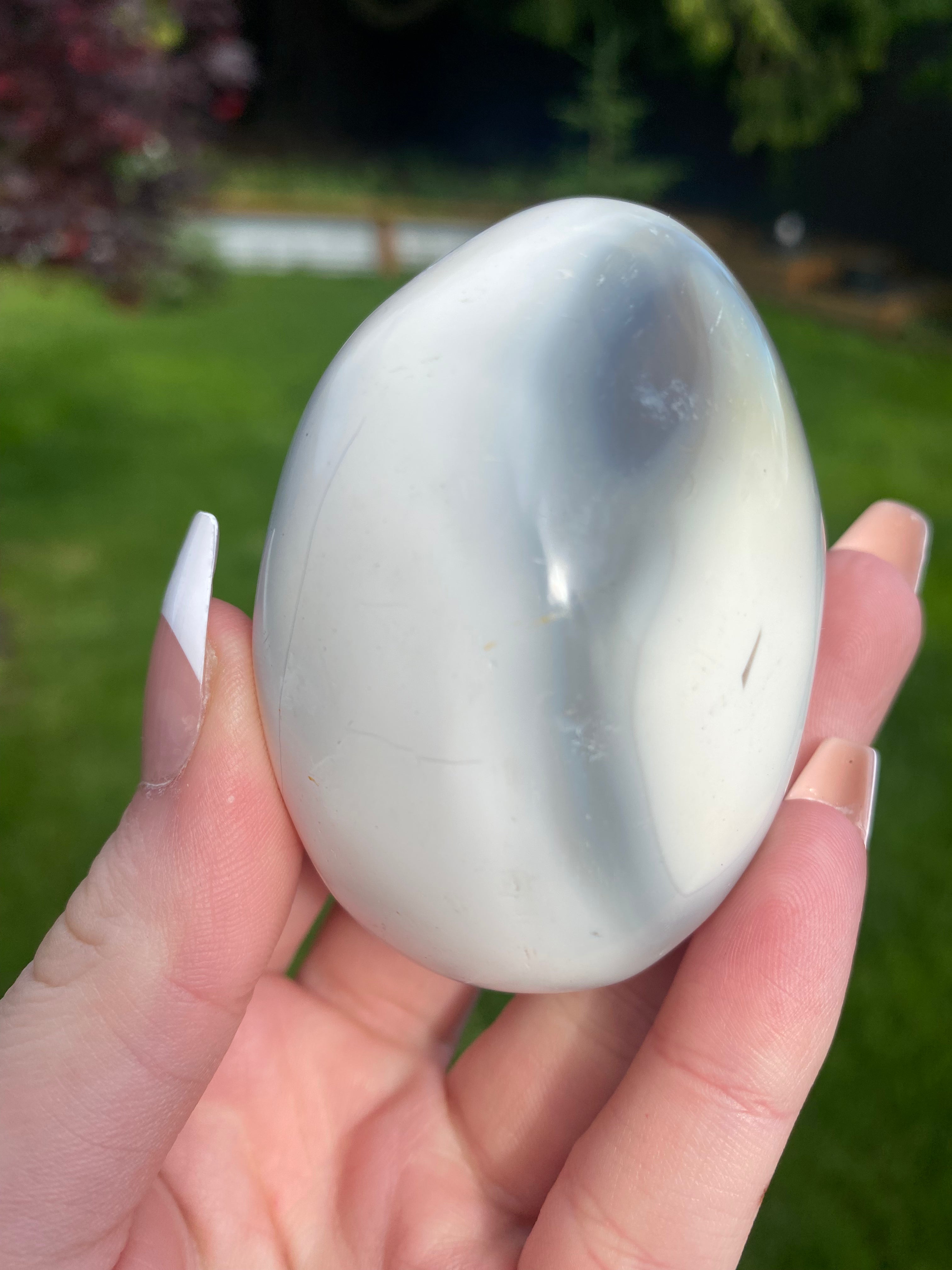 Orca Agate Palmstone - You Choose