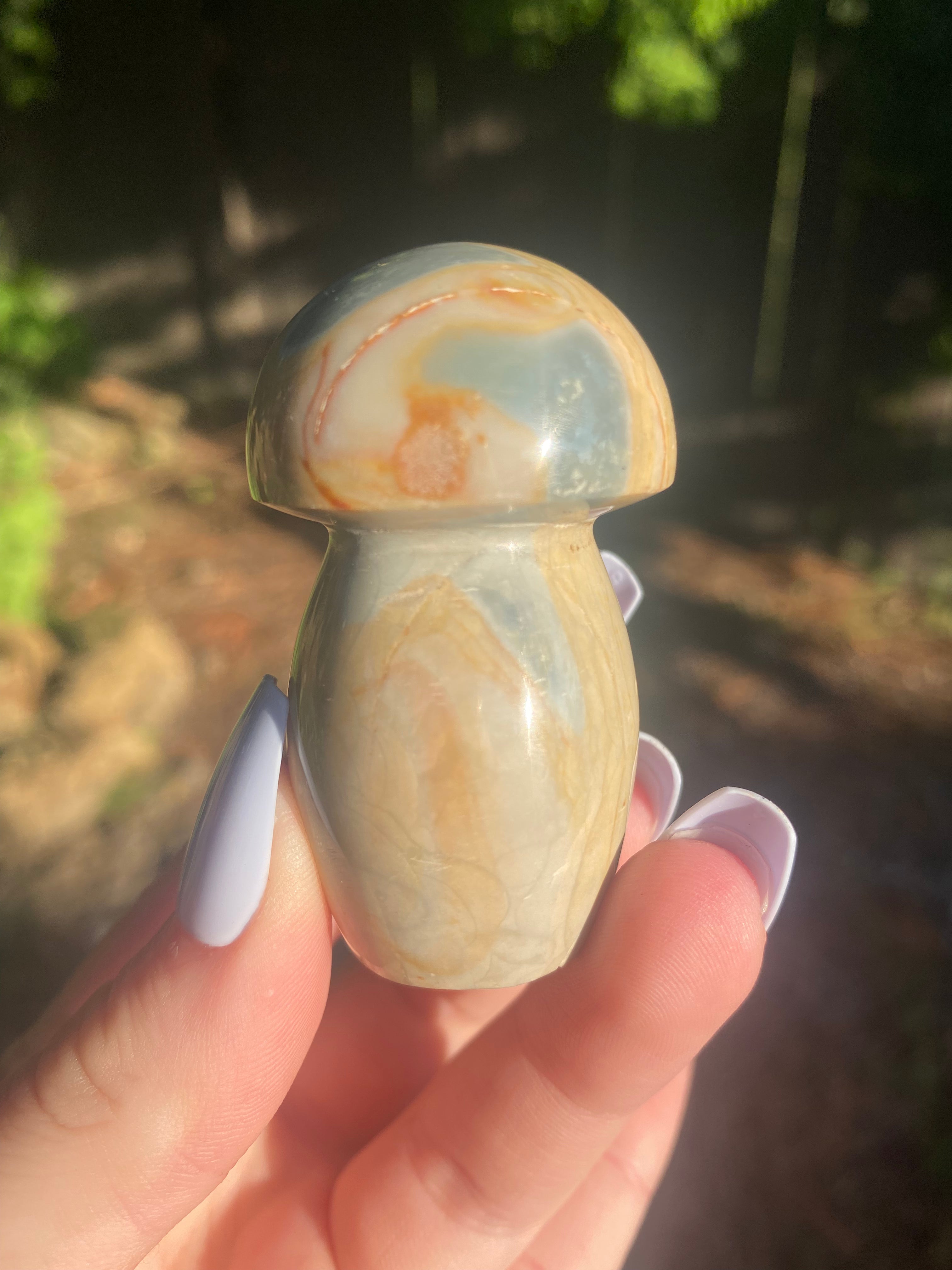 Polychrome Jasper Mushroom - You Choose