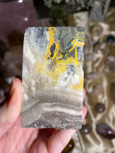 Bumblebee Jasper Freeform BBF2