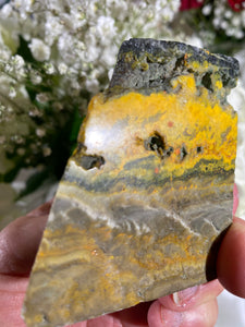 Bumblebee Jasper Freeform BBF5