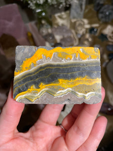 Bumblebee Jasper Freeform BBF3