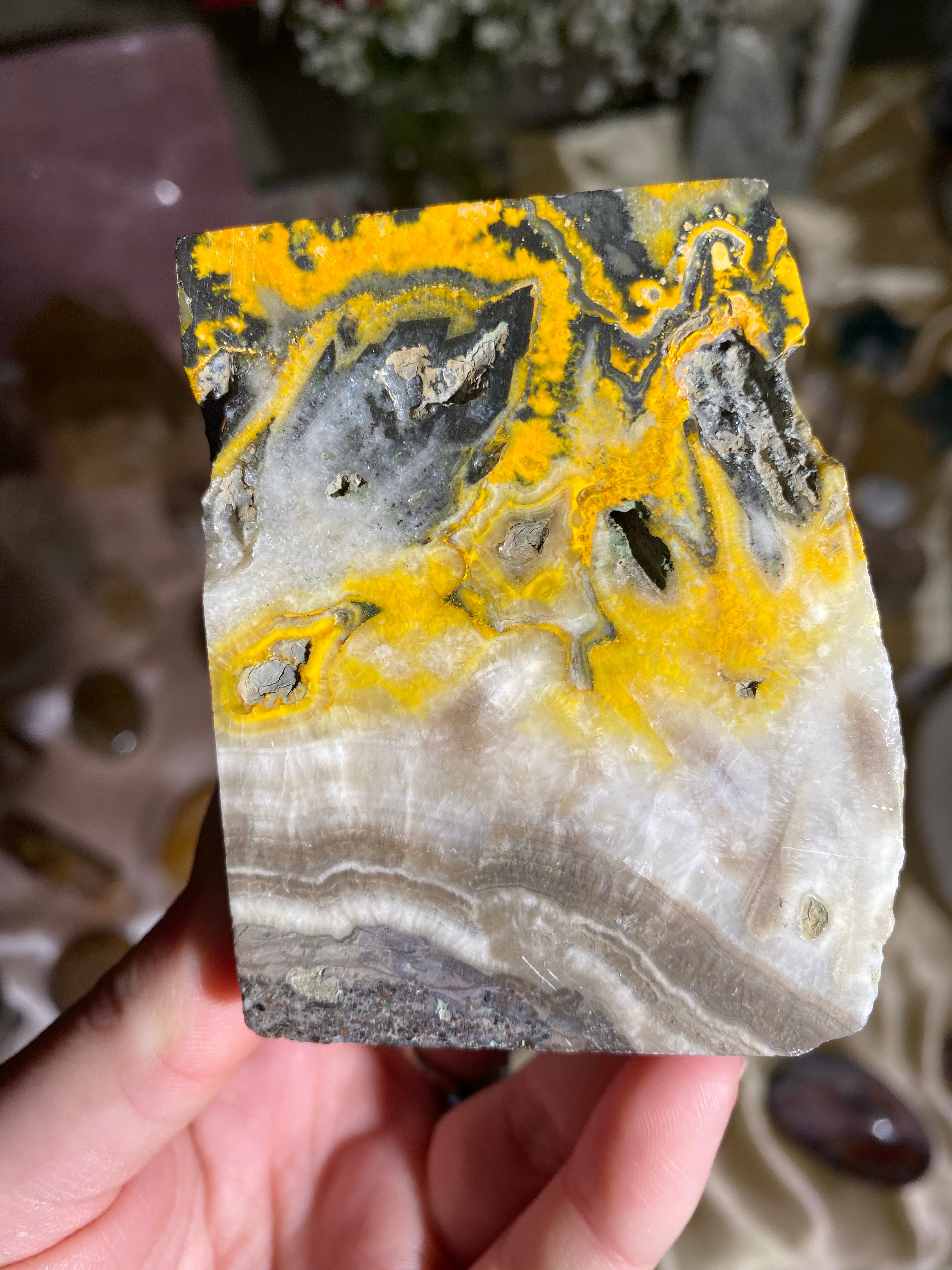 Bumblebee Jasper Freeform BBF2
