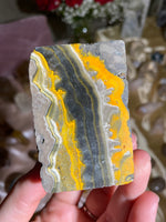 Load image into Gallery viewer, Bumblebee Jasper Freeform BBF3
