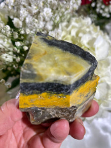 Bumblebee Jasper Freeform BBF5